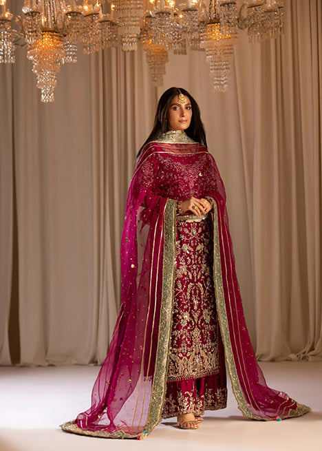 Tabya-Tabeer Fuchsia & Gold Velvet embroidered dress fabric view 2