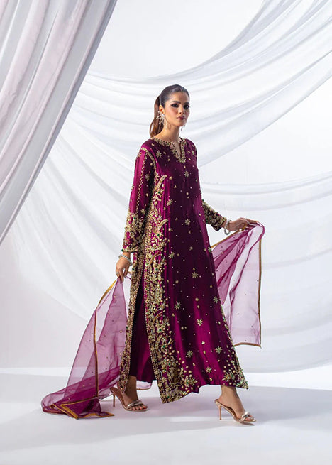 Hussain Rehar Burgundy & Gold Velvet embroidered dress fabric view 2