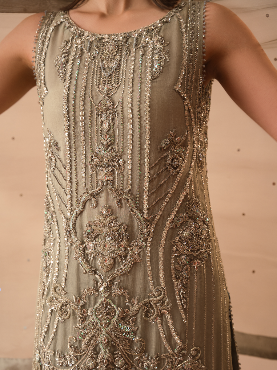 Abeera Usman Silver & Mint Organza embroidered dress fabric view 2