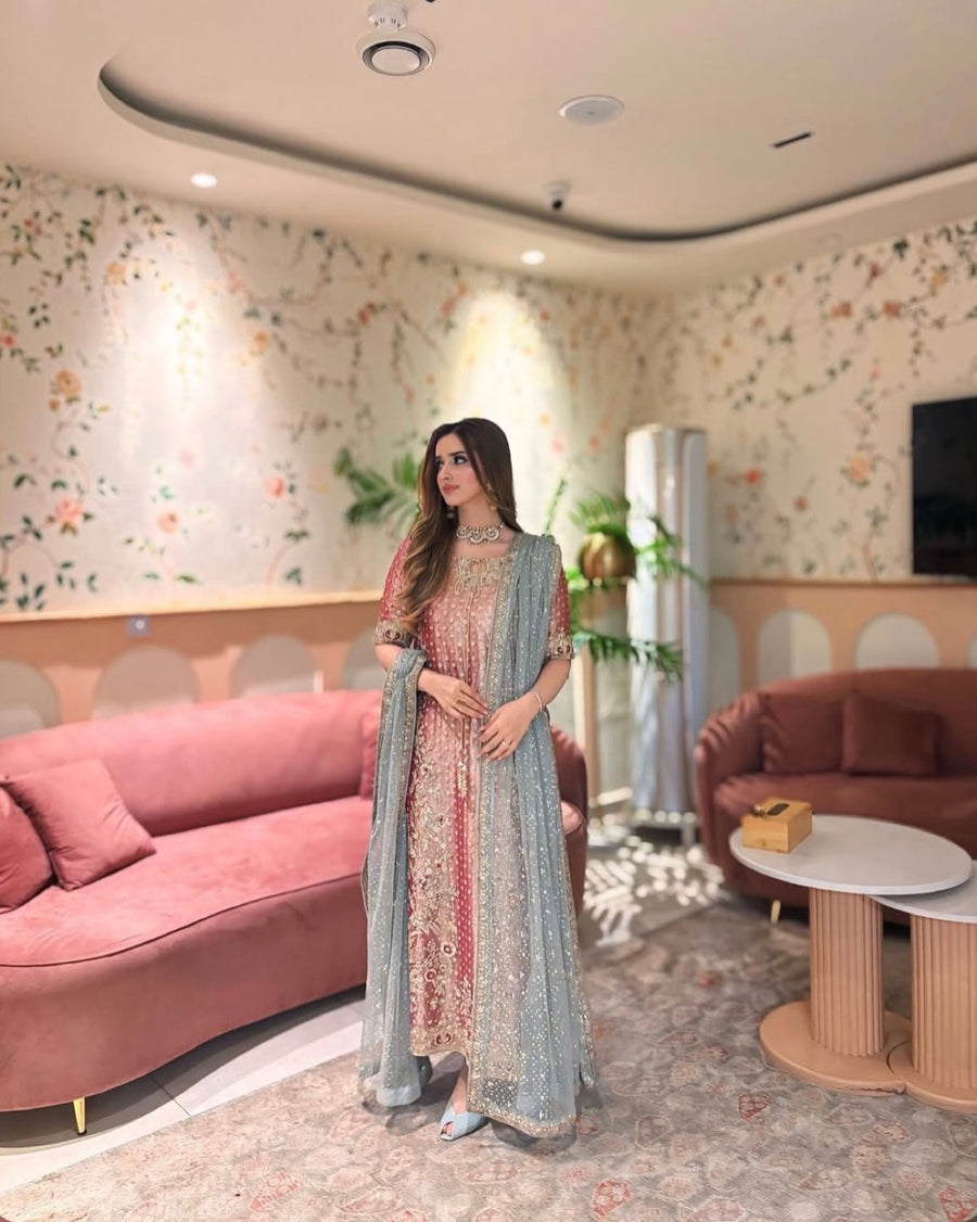 Haris Shakeel Pink Velvet embroidered dupatta view 2
