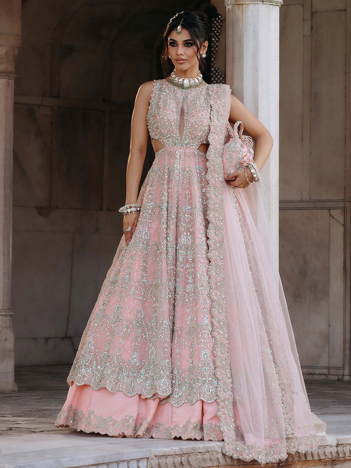 Kanwal Malik Blush Pink & Silver Net embroidered dress fabric view 1