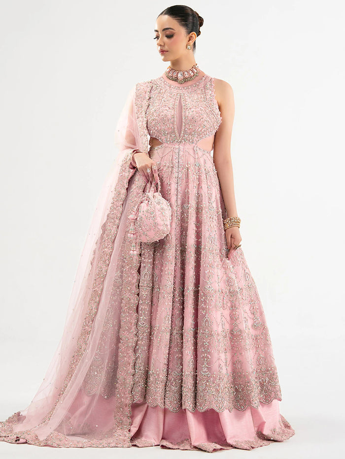 Kanwal Malik Blush Pink & Silver Net embroidered dress fabric view 2