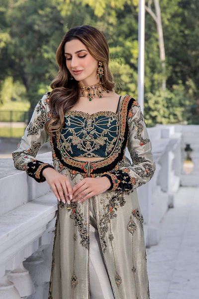 Shazia Kiyani Ivory & Black Velvet embroidered dress fabric view 2